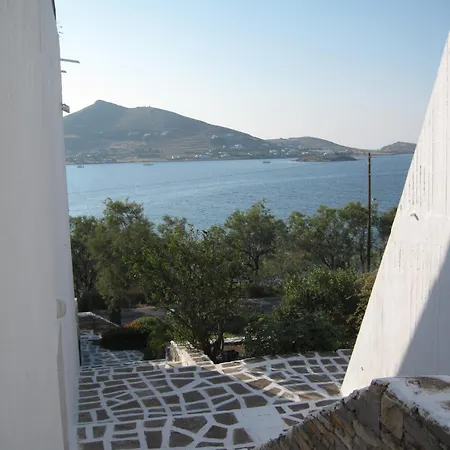 Hippocampus Naousa (Paros)